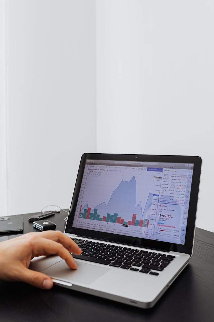 services-01 A person analyzing financial data on a laptop with graphs displayed on the screen.